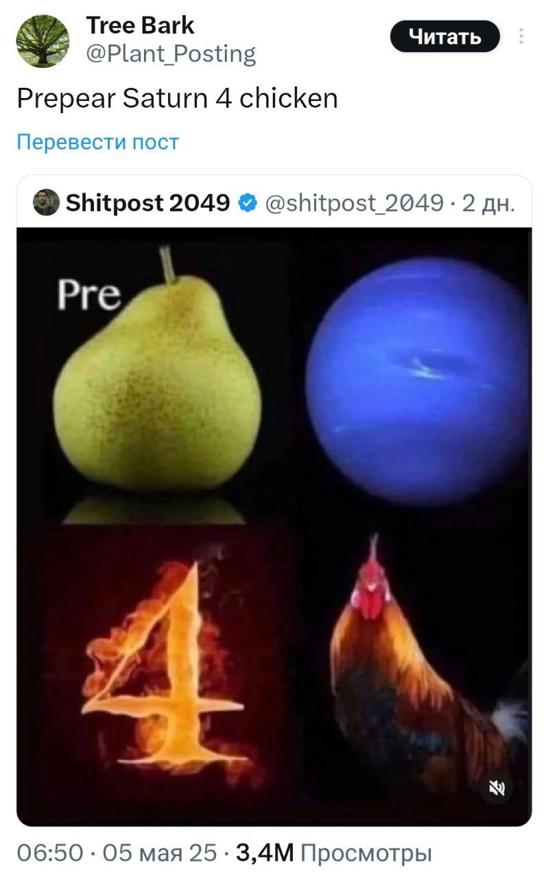 Tree Bark @Plant Posting Prepear Saturn 4 chicken Перевести пост Shitpost 2049 @shitpost_ 2049 2 Pre iF 06:50 05 мая 25 Просмотры