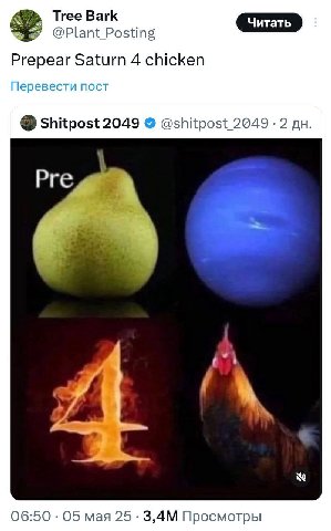 Tree Bark @Plant Posting Prepear Saturn 4 chicken Перевести пост Shitpost 2049 @shitpost_ 2049 2 Pre iF 06:50 05 мая 25 Просмотры