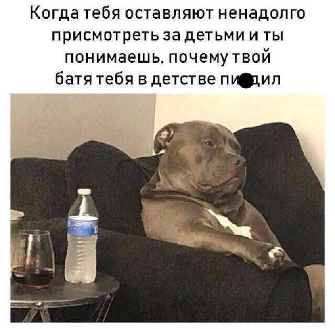 Когдатебя оставляют ненадолго присмотреть за детьми и ты понимаешь, почему твой батя тебя в детстве пифдил i