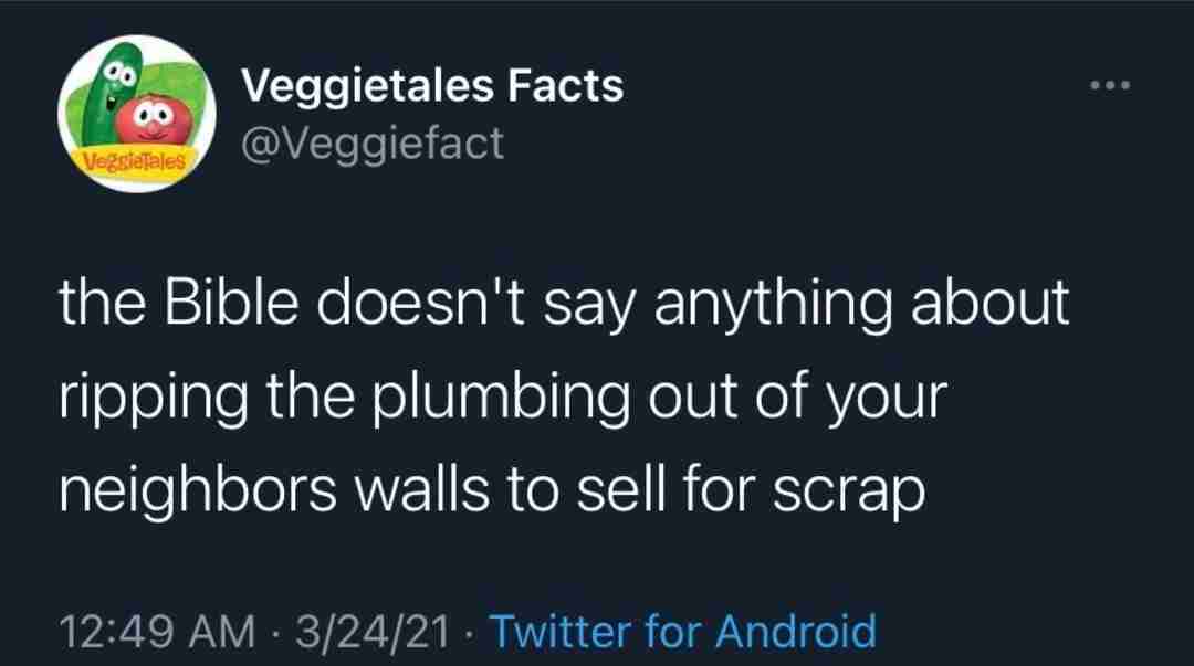 Veggietales Facts my the Bible doesn't say anything about the plumbing out of your neighbors walls to sell for scrap 12:49 3/24/21 Twitter for Android