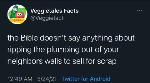 Veggietales Facts my the Bible doesn't say anything about the plumbing out of your neighbors walls to sell for scrap 12:49 3/24/21 Twitter for Android