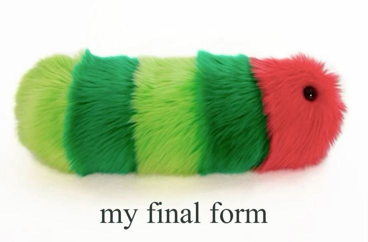 my final form