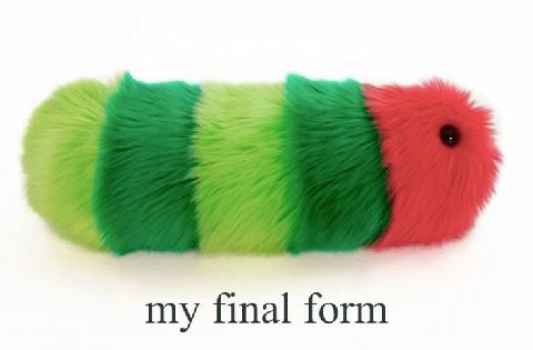 my final form