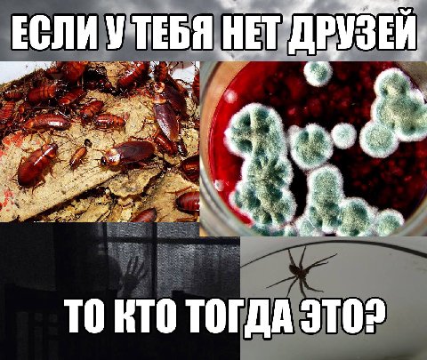ЕСЛИ УТЕБЯ НЕГДРУЗЕЙ EBA НЕТ.ДВУЗЕ А, ON 7 a ДА ЭТО?