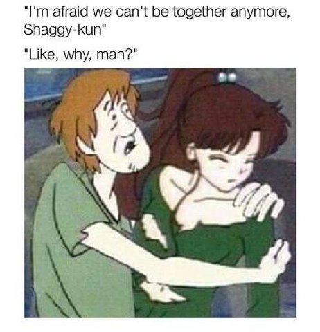 afraid we can't be together anymore, Shaggy-kun" "Like, why, man?"