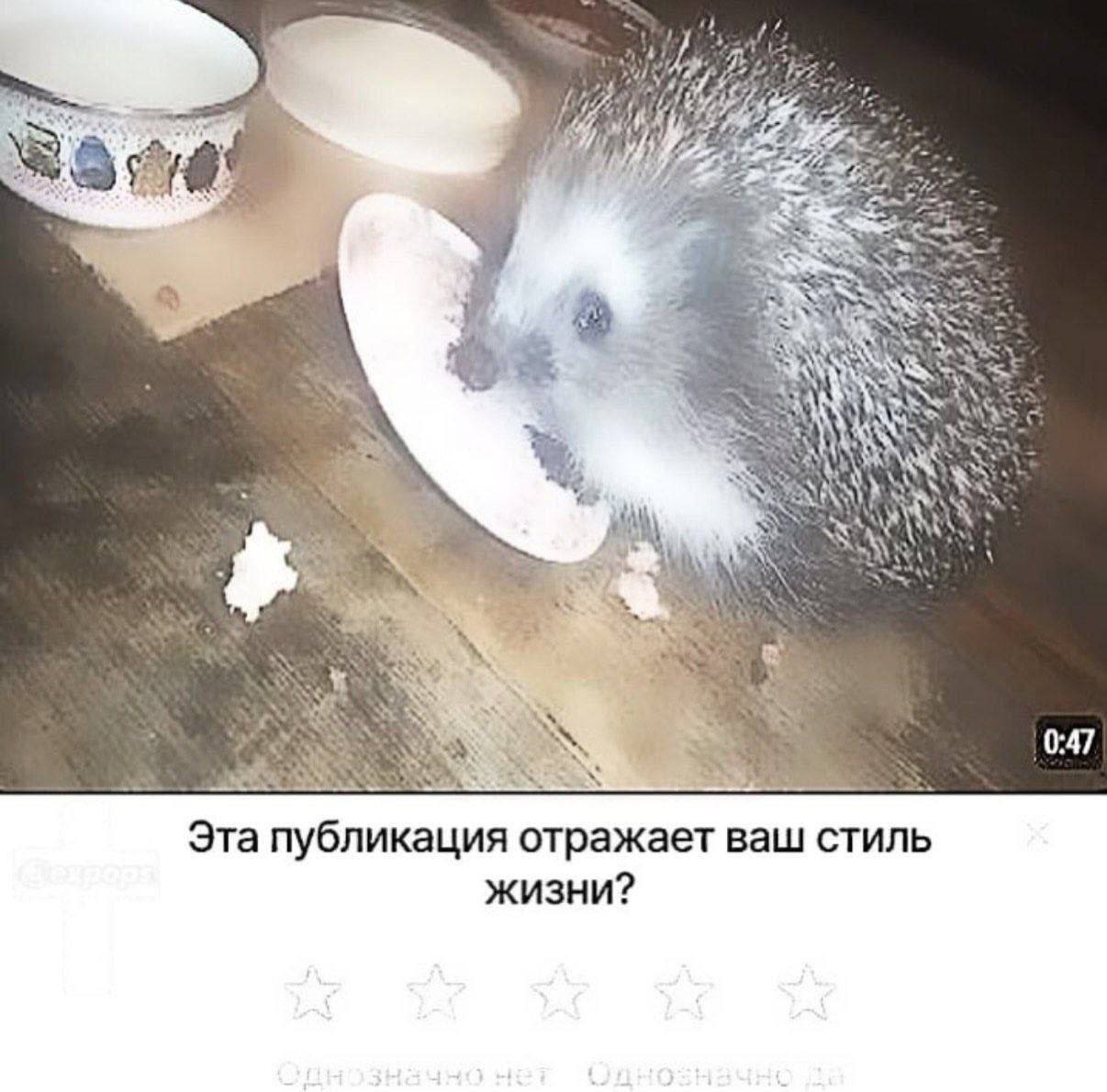 "4 0:47 Эта публикация отражает ваш стиль жизни?