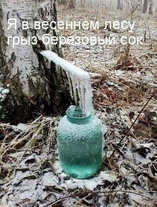 весе В we 4 an a a Aut