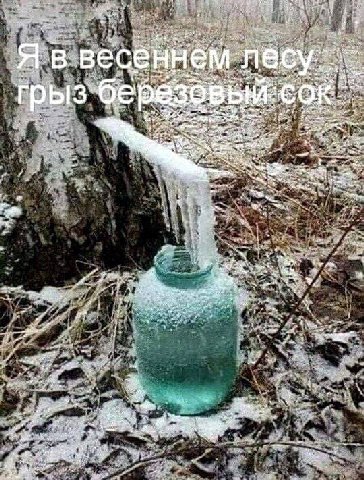 весе В we 4 an a a Aut