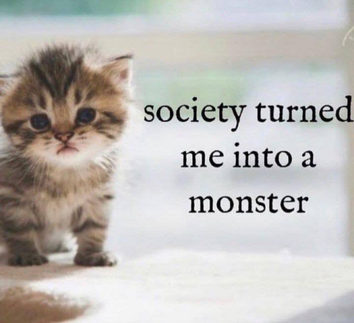 society turned meintoa monster