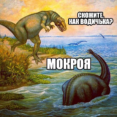 и КАК ВОДИЧЬКА? ‘MOKPOA