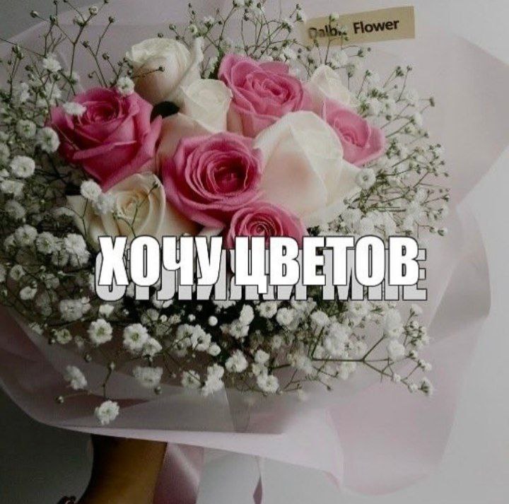 i у ЦВЕ