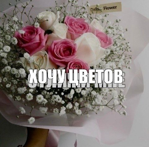i у ЦВЕ