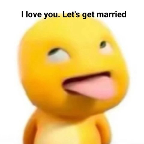 I love you. Let's get married