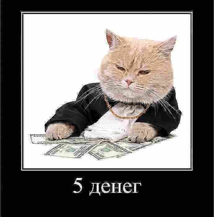 5 денег