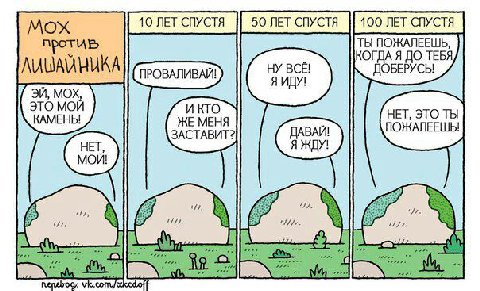 Мох протиь ТЫ ПОЖАЛЕЕШЬ, КОГДА Я ДО ТЕБЯ ЛИЦАЙНИКА НУ ВСЁ! ДОБЕРУСЫ Я ИДУ! МОХ, ЭТО МОЙ НЕТ, ЭТО ТЫ KAMEHb! ЖЕ МЕНЯ ПОЖАЛЕЕШЬ! ЗАСТАВИТ?