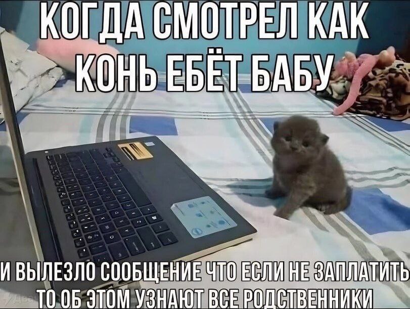 КОГДА СМОТРЕЛ КАК КОНЬЕБЕТ BABY ИВЫЛЕЗЛО СООБЩЕНИЕ ЧТОЕСЛИНЕ ЗАПЛАТИТЬ ТО 06 ЭТОМ УЗНАЮТ BCE