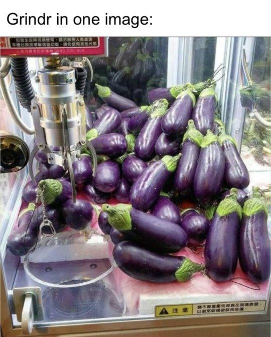 Grindr in one image: 5.