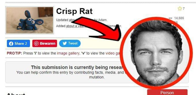 Crisp Rat we 146 Updated Adam Added зрощ PROTIP: Press to view the image gallery, to view the video 2 This submission is currently being resea You can пер confirm this entry contributing facts, media,