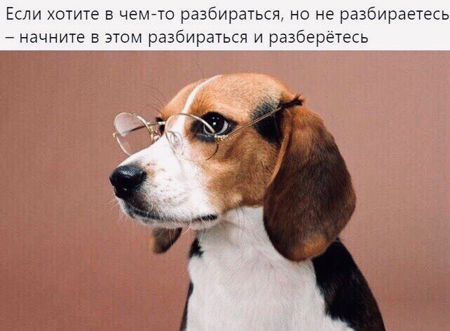 Если хотите в чем-то разбираться, но не разбираетесь начните в этом разбираться и разберётесь