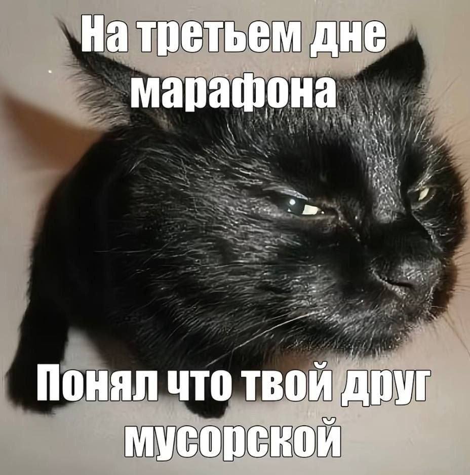 На третьем дне Понял что твой друг мусорской