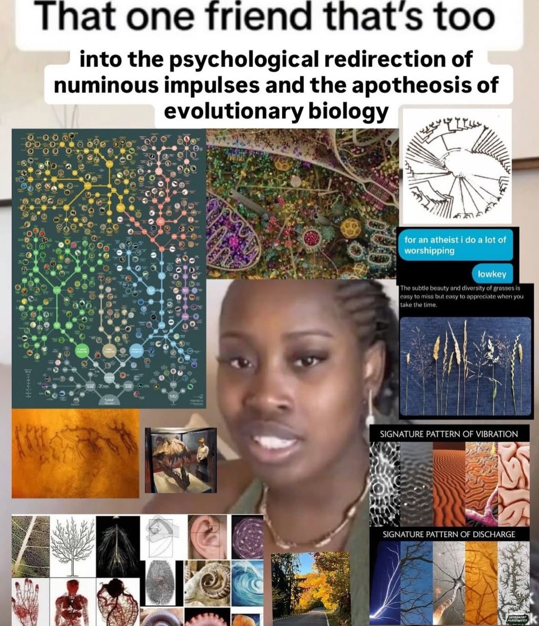 That one шепа that's too into the psychological redirection of numinous impulses and the apotheosis of evolutionary biology с of К. for an atheist i а lot of worshipping у 1 у PATTERN к с i