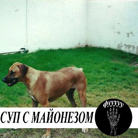 СУПС