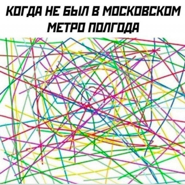КОГДА НЕ БЫЛ В МОСКОВСКОМ МЕТРО ПОЛГОДЯ