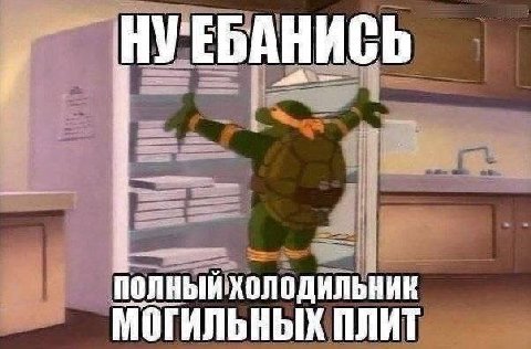 НУ 'ЕБАНИСЬ ПОЛНЫЙ ХОЛОДИЛЬНИК МОТИЛЬНЫХ плит