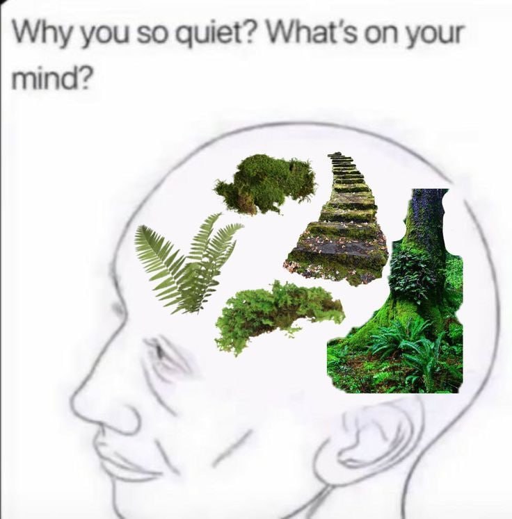 Why you so quiet? What's on your mind?