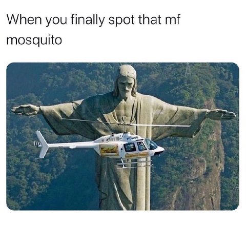 When you finally spot that mosquito