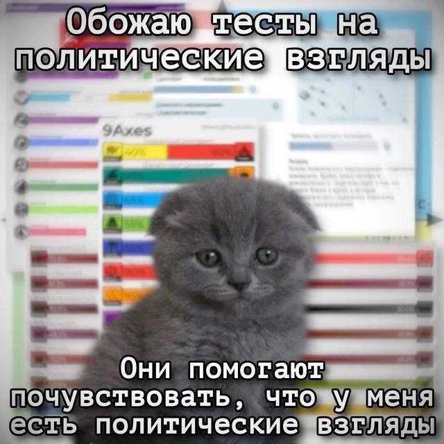 06 политические гляды Они помогают почувствовать что есть политические ВЗГЛЯДЫ