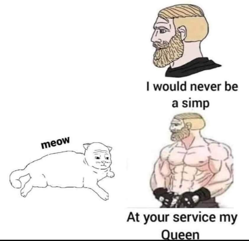 would never be a simp At your service my Queen