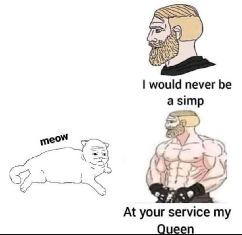 would never be a simp At your service my Queen