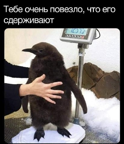 Тебе очень повезло, что его сдерживают