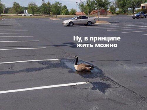 Ну, в принципе жить можно
