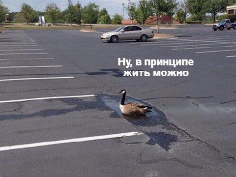 Ну, в принципе жить можно