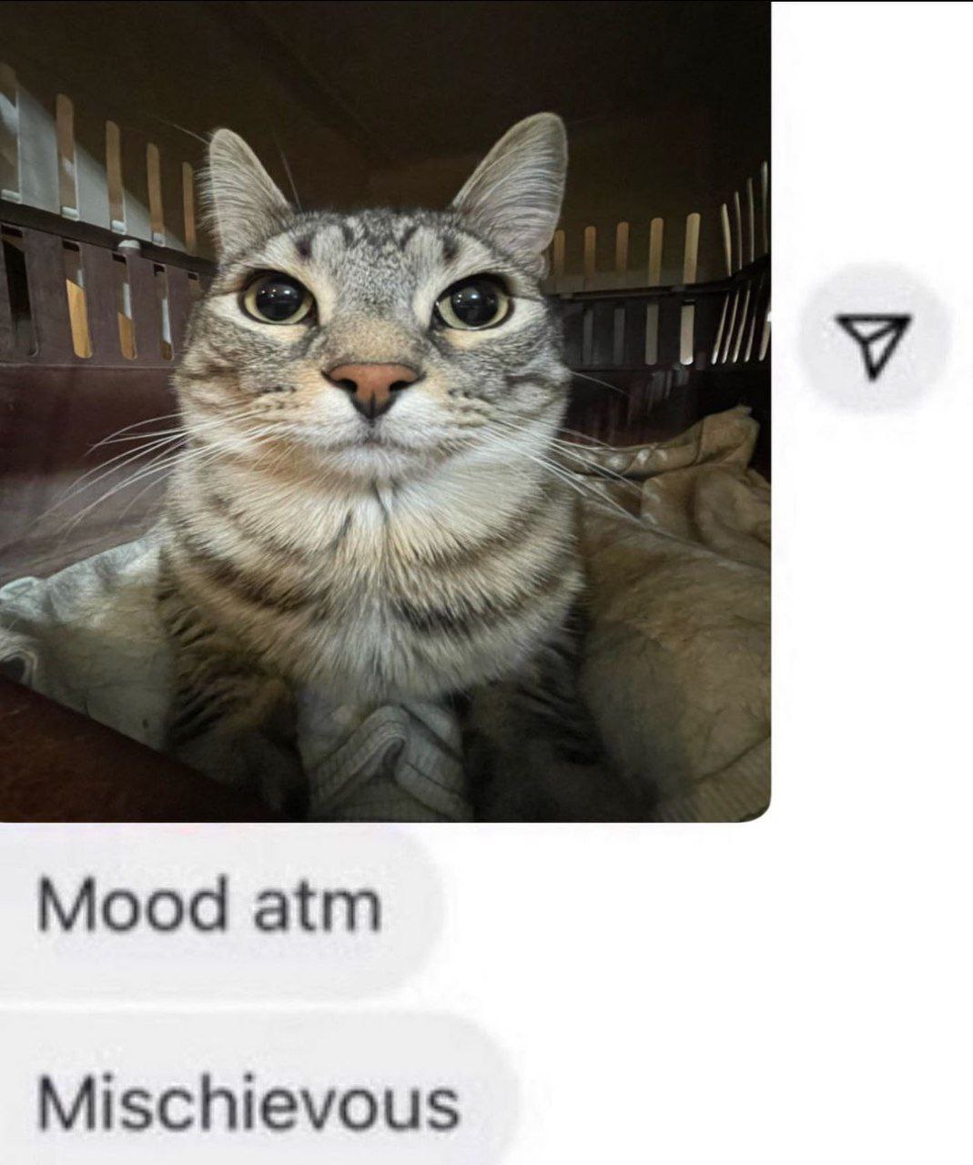 Mood atm Mischievous