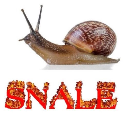 SNA