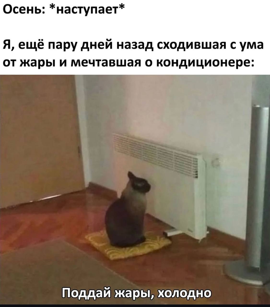 Осень: *наступает* Я, ещё пару дней назад сходившая с ума от жары и мечтавшая о кондиционере: Поддай жары, холодно