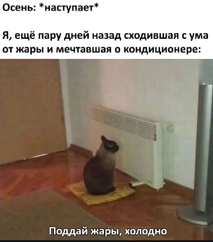 Осень: *наступает* Я, ещё пару дней назад сходившая с ума от жары и мечтавшая о кондиционере: Поддай жары, холодно