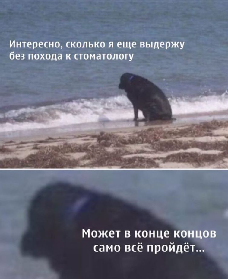 Интересно, сколько я еще выдержу без похода к стоматологу Может в конце концов само всё пройдет...
