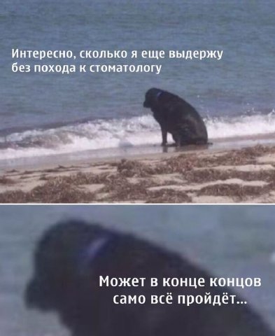 Интересно, сколько я еще выдержу без похода к стоматологу Может в конце концов само всё пройдет...