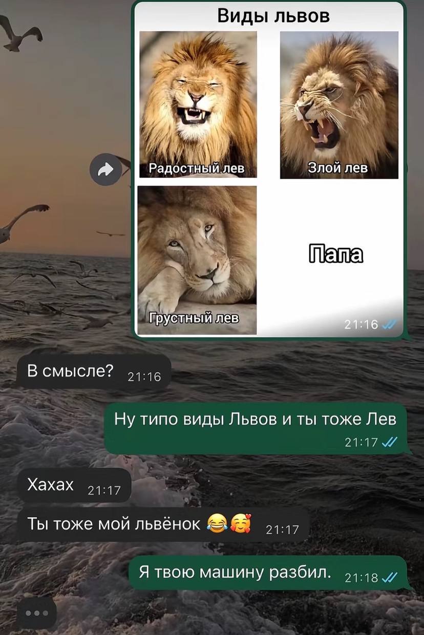 Виды львов Радостный лев Злой лев Грустный лев В смысле? Ну типо виды Львов и ты тоже Лев Хахах Ты тоже мой львёнок Я твою машину разбил.