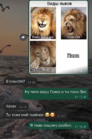 Виды львов Радостный лев Злой лев Грустный лев В смысле? Ну типо виды Львов и ты тоже Лев Хахах Ты тоже мой львёнок Я твою машину разбил.