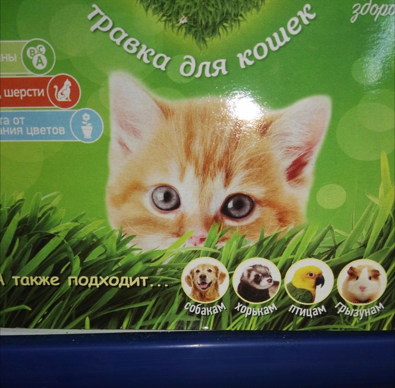 для етов