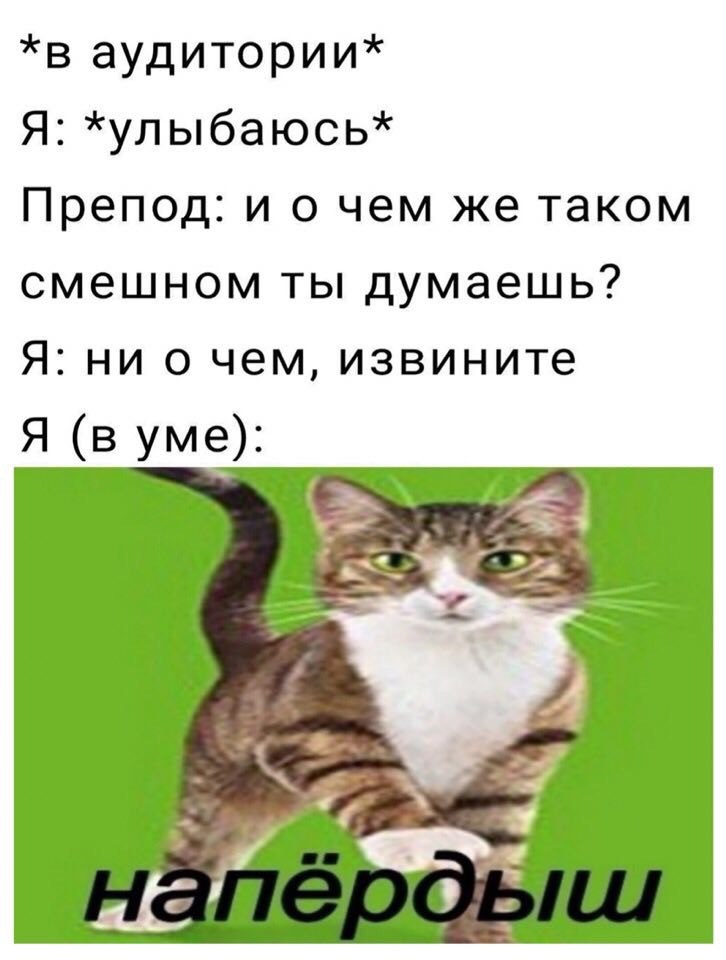 *в аудитории* Я: *хулыбаюсь* Препод: и о чем же таком смешном ты думаешь? Я: ни о чем, извините Я (в уме): 7 Я У