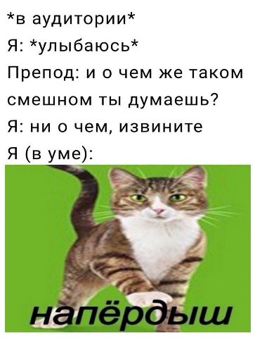 *в аудитории* Я: *хулыбаюсь* Препод: и о чем же таком смешном ты думаешь? Я: ни о чем, извините Я (в уме): 7 Я У