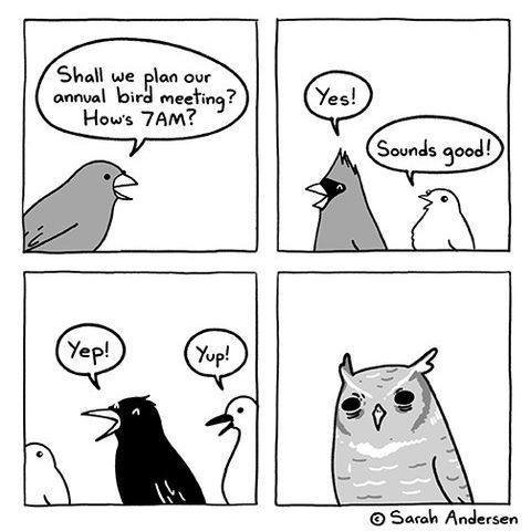 Shall plaa our annval bird meeting? How's Sounds good! Sacah Andersen