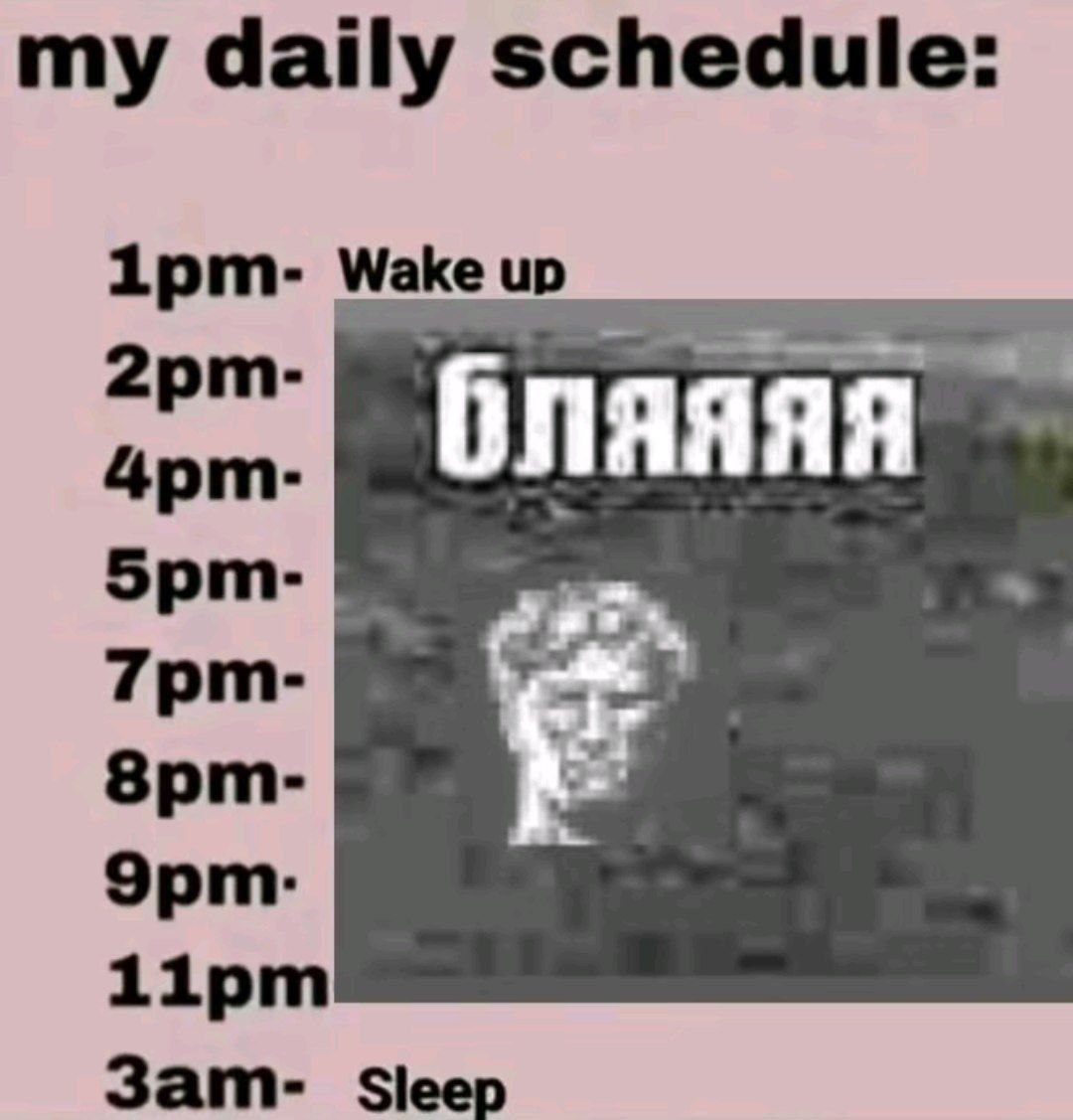 my daily schedule 1рит- Wake up бляяяя 1ipm Sleep