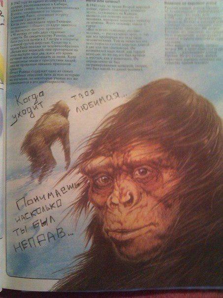 мне никогда не надоест эта картинка
